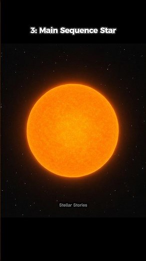 The 6 Life Stages of A Star | Star Now, Before And After | #star #shorts