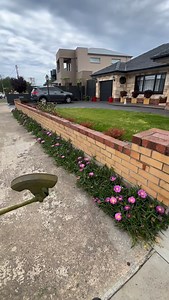 178K views · 10K reactions | Overgrown garden bed? Not for long ...