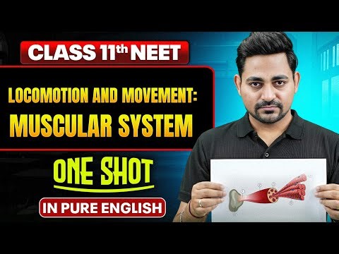 LOCOMOTION AND MOVEMENT: MUSCULAR SYSTEM Class 11th ONE SHOT Complete NEET Chemistry in Pure English