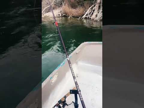 #1000subscriber Live Fishing Drop Shot & Bass Boat Adventures!