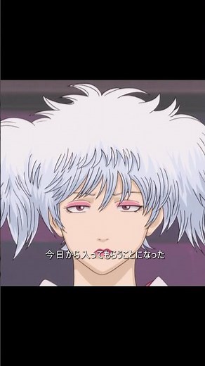 “んな〜今日から入ってもらうことになったパーアちゃんよ”#tvshow #anime #animeshorts #銀魂 #gintama