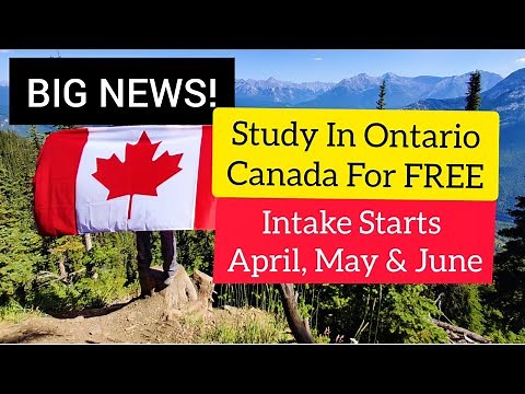 Tuition Free Personal Support Worker PSW Training In Canada (How To Apply)