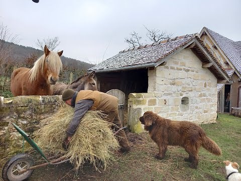 Eco-agriculture: en Normandie,la ferme du Bec-Hellouin et la maison des semences paysannes Triticum
