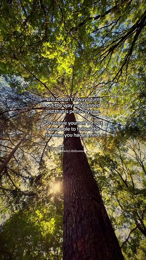 Motivation Quotes for Daily Life | Inspirational and Motivational Quotes