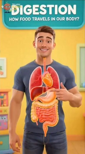 ఆహారం శరీరంలో ఎలా ప్రయాణిస్తుంది? | Human Digestion Process Explained in Telugu | Telugu Science Lab