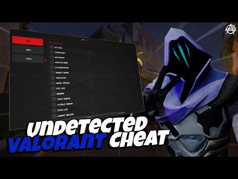 I USED The NEW Best VALORANT CHEAT In 2025... (Undetected Aimbot & ESP)