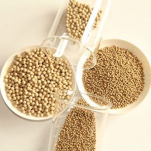 [Hot Item] Premium 3A 13X Activated Molecular Sieve for Efficient Adsorption