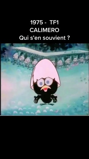 CALIMERO est une série télévisée d'animation italo-japonaise suivant les aventures d'un charmant mais malchanceux petit poussin noir anthropomorphe. Calimero a initialement été diffusé dans l'émission de télévision italienne Carosello le 14 juillet 1963. En France, à partir de 1975 sur TF1. @annees_80 @annees_80 @annees_80 #calimero #70 #70s #annee70 #annees70 #serie70 #series70 #80 #80s #annee80 #annees80 #retro #vintage #nostalgie #fy #fyp #fypシ #foryou #anime #animes #animetiktok #animefyp #a