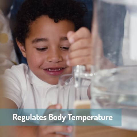 Invigorated Water pH Recharge Glass Alkaline Water Dispenser Filter System - Countertop Purifier Pitcher for Home and Office - High pH Pure Drinking Water Filtration- 8.5L/2.25 Gal"