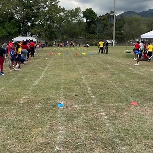 trackalerts on Reels