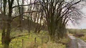 4.9K views · 16 reactions | Countryside Walk #welovescotland | We love Scotland | Facebook