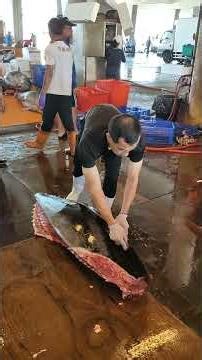 Mastering the breakdown of a whole bluefin tuna #BluefinTuna #FishMastery #SeafoodExpert #ProChef