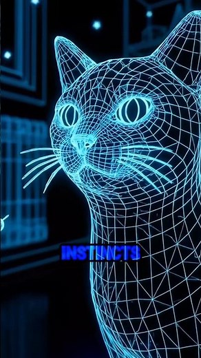 Why Cats Meow at Humans 😺🚶‍♂️