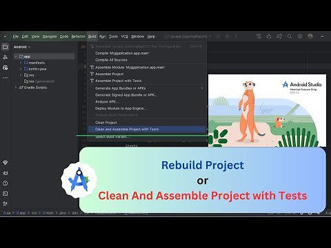 How to Rebuild project in android studio meerkat