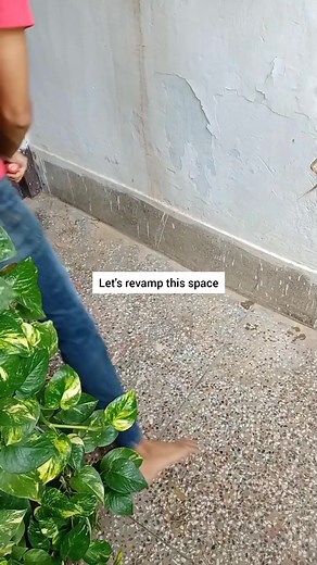 426K views · 2.4K reactions | Let's Revamp this balcony space  | Plant it out | Facebook