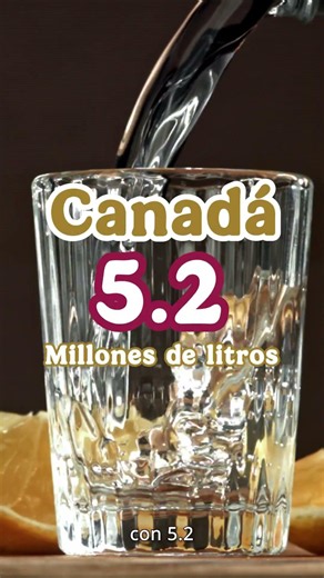Mexican tequila production as one of the best in the world