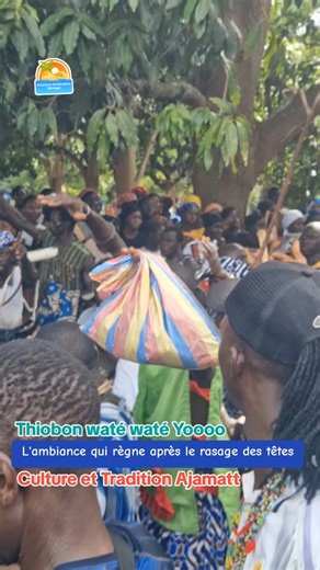 La culture Diola est profondément liée à la nature, aux traditions et à la communauté. 🪘🪘🪘🪘🪘🪘🪘. | Aventure Destination Sénégal