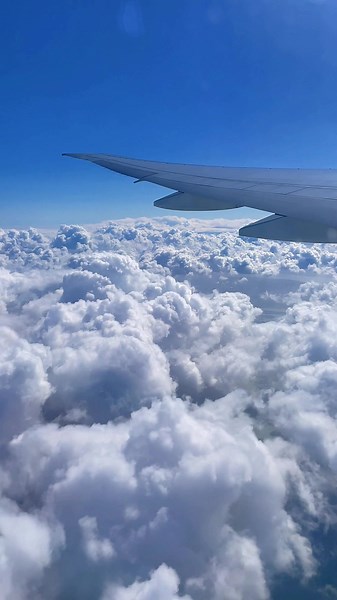 You found the magic. ✨☁️ #lufthansa #aesthetic #traveltok #windowseat #fyp