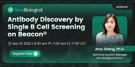 Antibody Discovery by Single B Cell Screening on Beacon