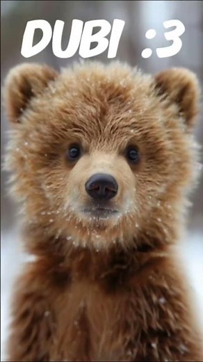 “Baby Bear Cubs Being EXTREMELY Cute 🐻❤️ (Try Not To Smile!)”