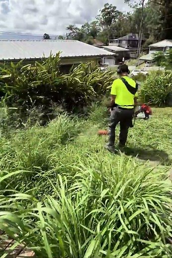 This Yard Is Completely Out of Control 😳 | Multi-Level Clean Up Part 1
