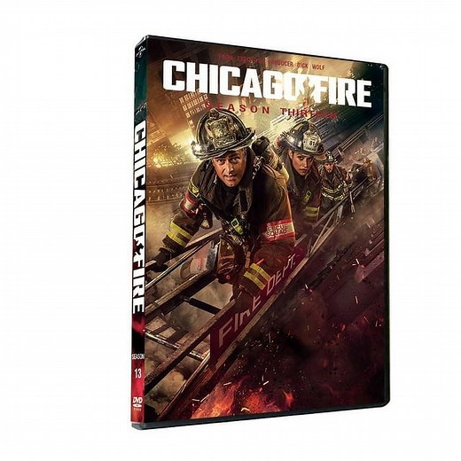 Chicago Fire - Thirteenth Season 13 (DVD), English Only - Walmart.ca
