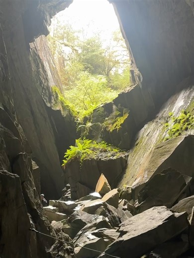 Sam Callahan on Reels