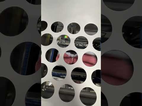 VEMAG Complete Portioning & Tray Loading Line- Item #11581- M&M Equipment Corp.