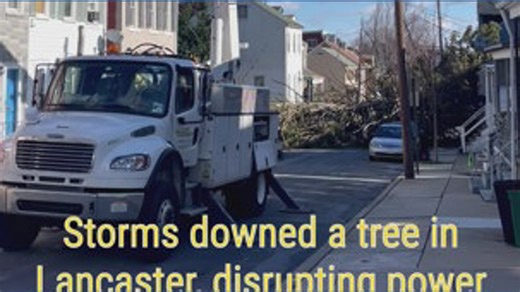 Storms down a tree in Lancaster, disrupting power for the neighborhood and damaging vehicles