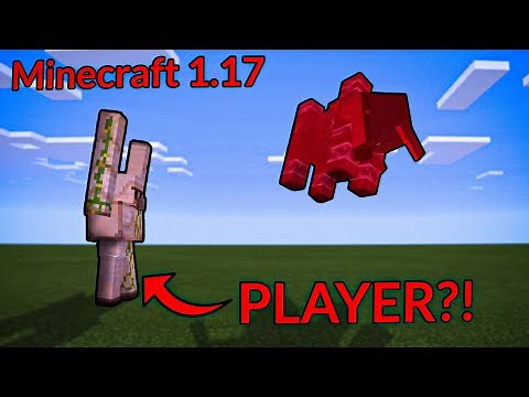 TommyInnit Morph Mod for Minecraft 1.17! - TommyInnit Mods [2]