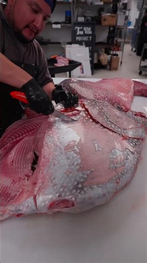 How to Fillet an Opah