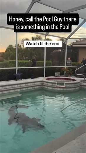 PoolNation on Instagram: "Florida pool pro problems. 🤦🤦 How often does this happen?"