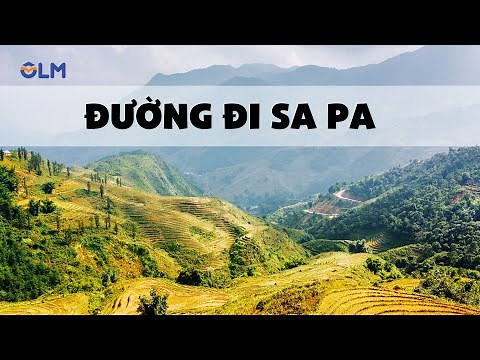 Đường đi Sa Pa - Tiếng Việt 4 - Cánh Diều [OLM.VN]