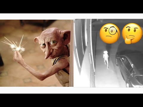 Dobby Elf From Harry Potter Caught On Camera In Real Life 😩
