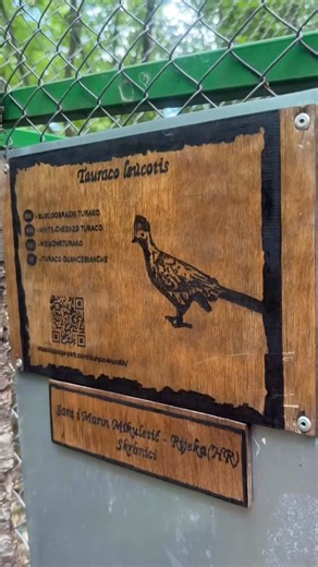 🦜 Turako – jedina ptica na svijetu s pravim zelenim pigmentom u perju! 🌿✨ Upoznajte ovo šareno remek-djelo prirode u Papago Parku. #Turako #Porec #Ptice #ExoticBirds #papagoparkcroatia #istra #lovebird #birdpark #papagoparkcroatia | Papago Park Croatia