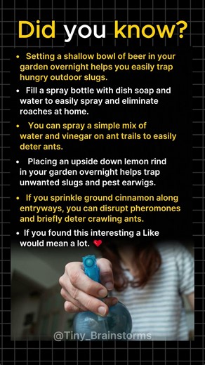 Practical Ways to Stop Garden and Home Pests