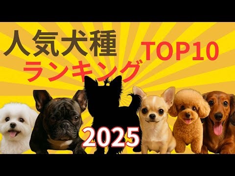【2025年最新版】人気犬種ランキングTOP10！あなたの推しワンコは何位？🐶✨