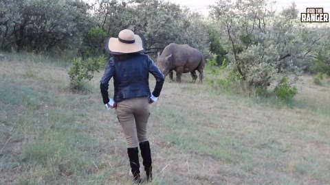 Inside a Rhino Sanctuary’s Daily Protection Work