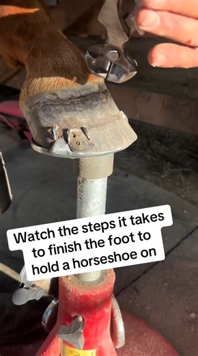 Come check out the steps I use to finish the foot | ShoeHorse Fan