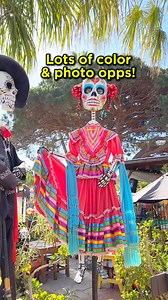 Discover hidden gems in San Diego, from teahouses to speakeasies! | Visit San Diego