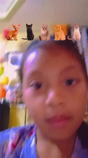 Shane Ksks (@shane.ksks7)’s videos with original sound - Flashback80s