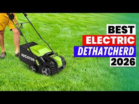 The 6 Best Electric Dethatcher of 2026 | Stop Killing Your Lawn! Best Electric Dethatchers You Need