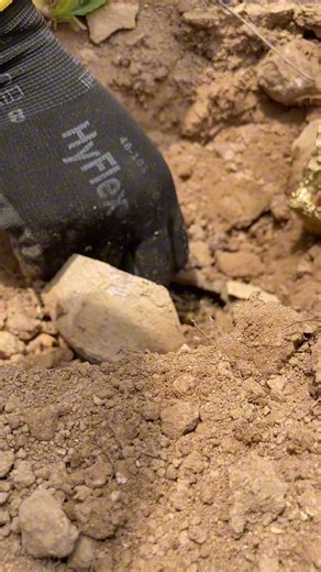 57K views · 394 reactions | What I found in this place amazed me to search more | Dr.Hunt | Facebook