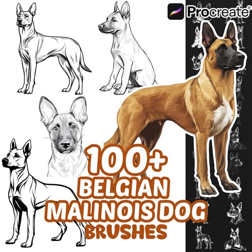 Procreate Belgian Malinois Dogs Animals Brushes, 100  Belgian Malinois Dog Animal Procreate Stamps, Nature Procreate, Pet Animals, Dogs - Etsy