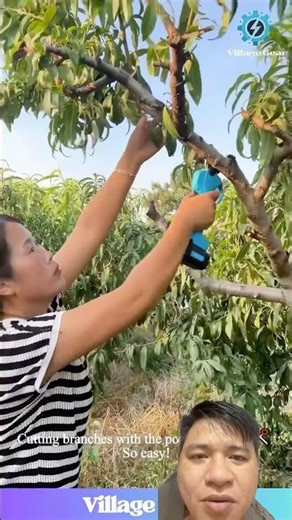 Ultra-sharp scissor cutting machine