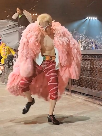 One Piece Character Cosplay: Luffy and Friends