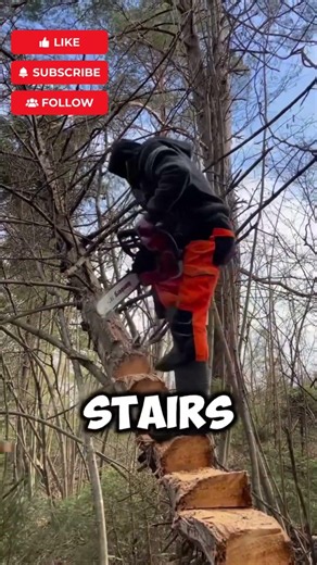 This Genius Tibetan Tree Staircase Has a Mind-Blowing Secret! 🪵
