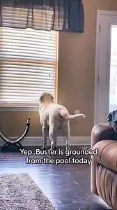#Bustersworld | Buster's World