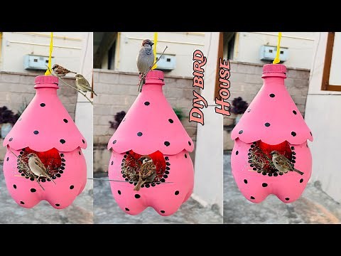 From Plastic Bottle to Bird Paradise: Genius DIY Birdhouse Idea✨