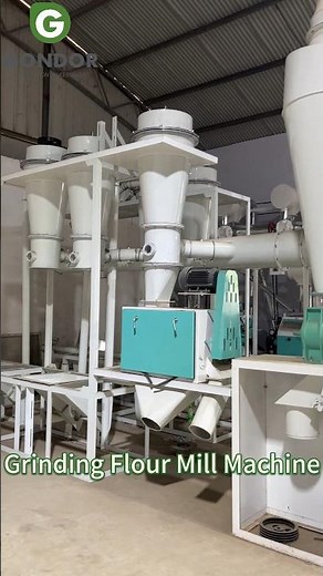 ⚙️🌾Industrial Wheat & Corn Flour Milling Machine (40-150 Mesh):Grind 550kg of Flour Per Hour#grinder